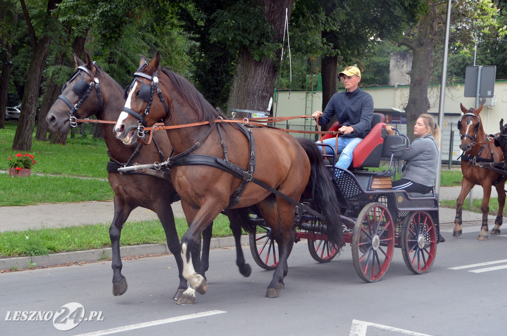 Zawody w powożeniu w Wilkowicach