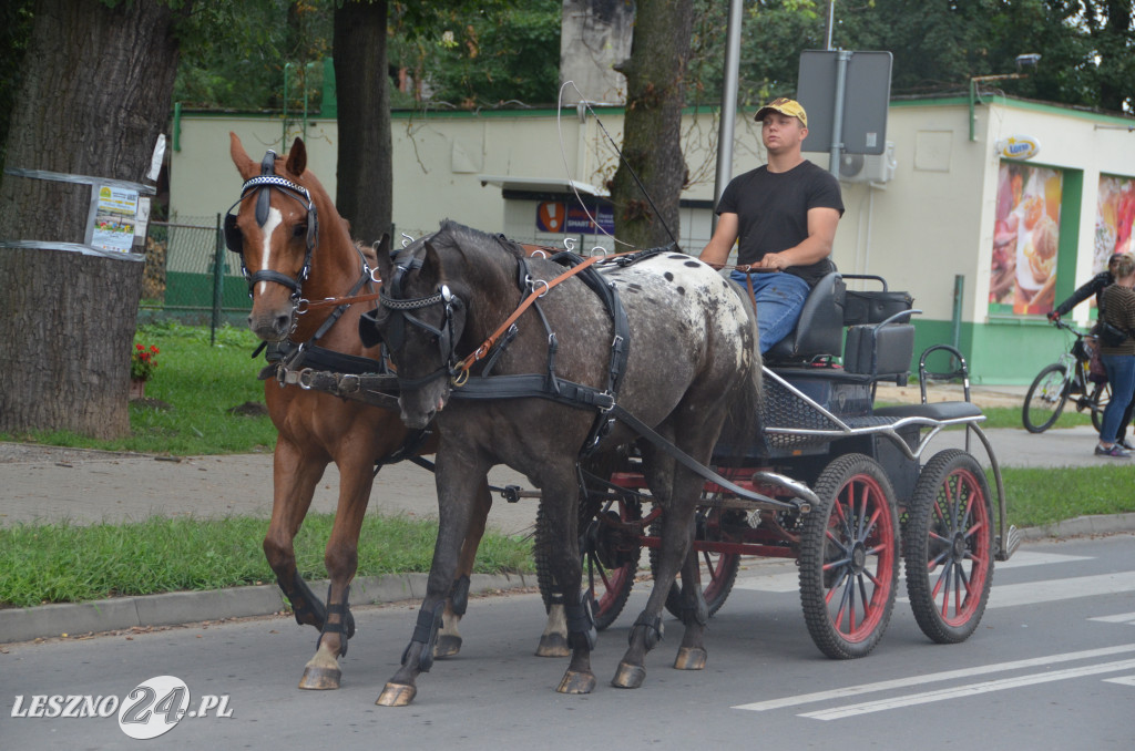 Zawody w powożeniu w Wilkowicach