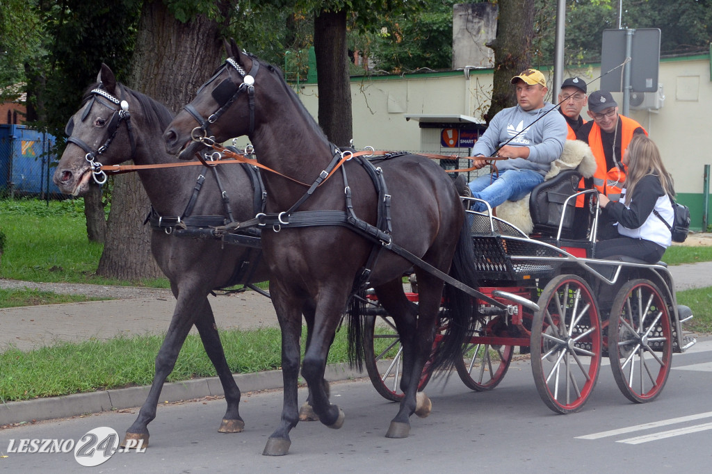 Zawody w powożeniu w Wilkowicach