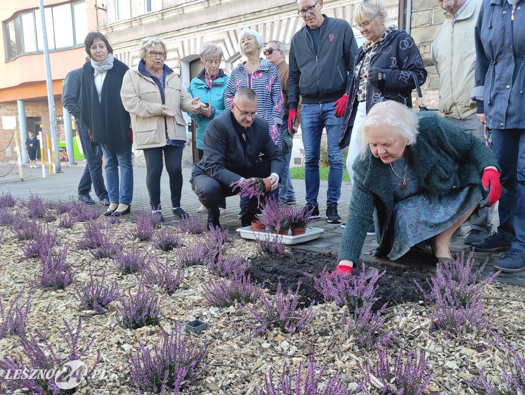 Skwer Leszczyńskich Seniorów