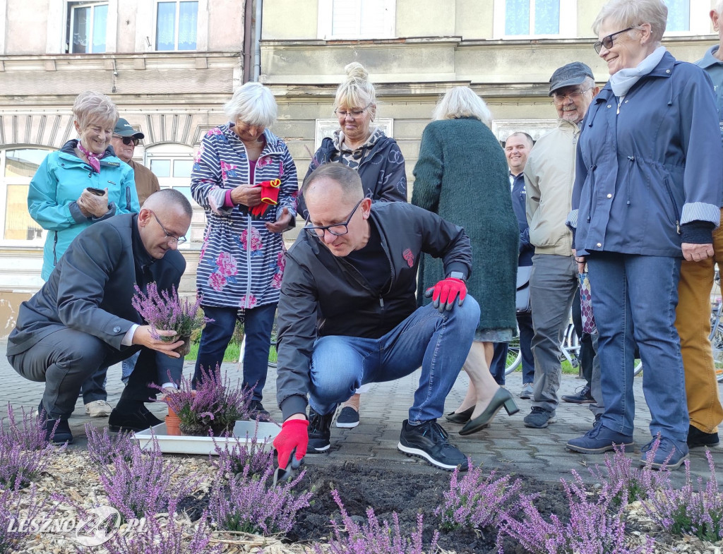 Skwer Leszczyńskich Seniorów