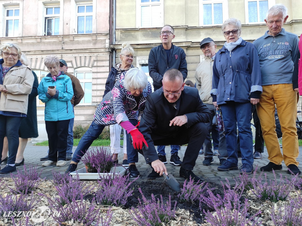 Skwer Leszczyńskich Seniorów