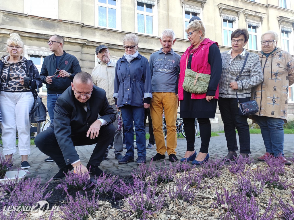 Skwer Leszczyńskich Seniorów