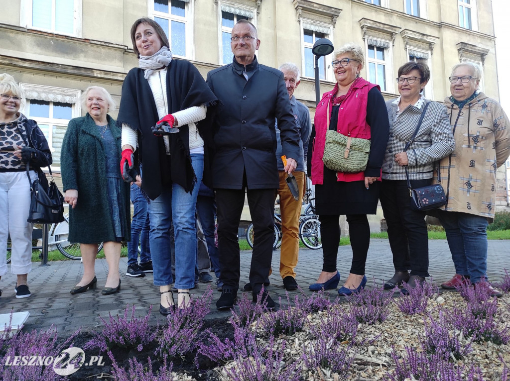 Skwer Leszczyńskich Seniorów