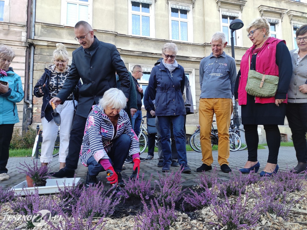 Skwer Leszczyńskich Seniorów