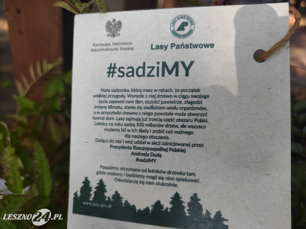 Sadzenie drzew z nadleśnictwem