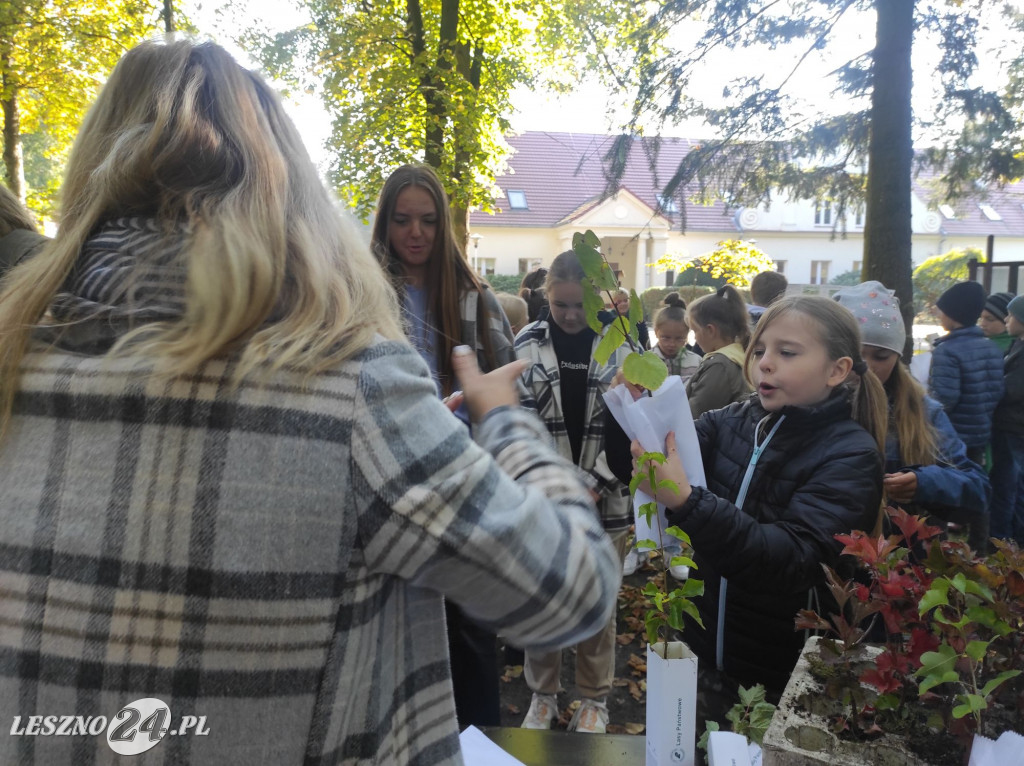 Sadzenie drzew z nadleśnictwem