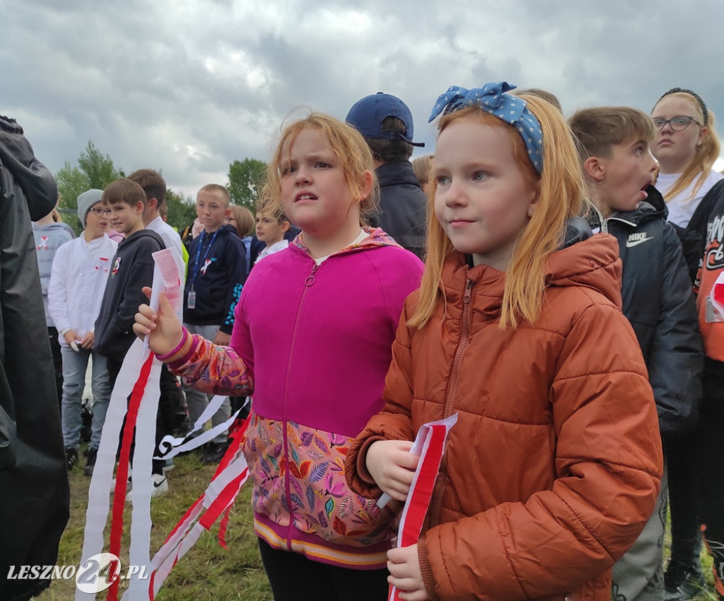 Święto ulicy Wybickiego