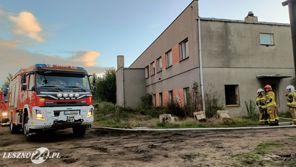 Pożar pustostanu w Lesznie