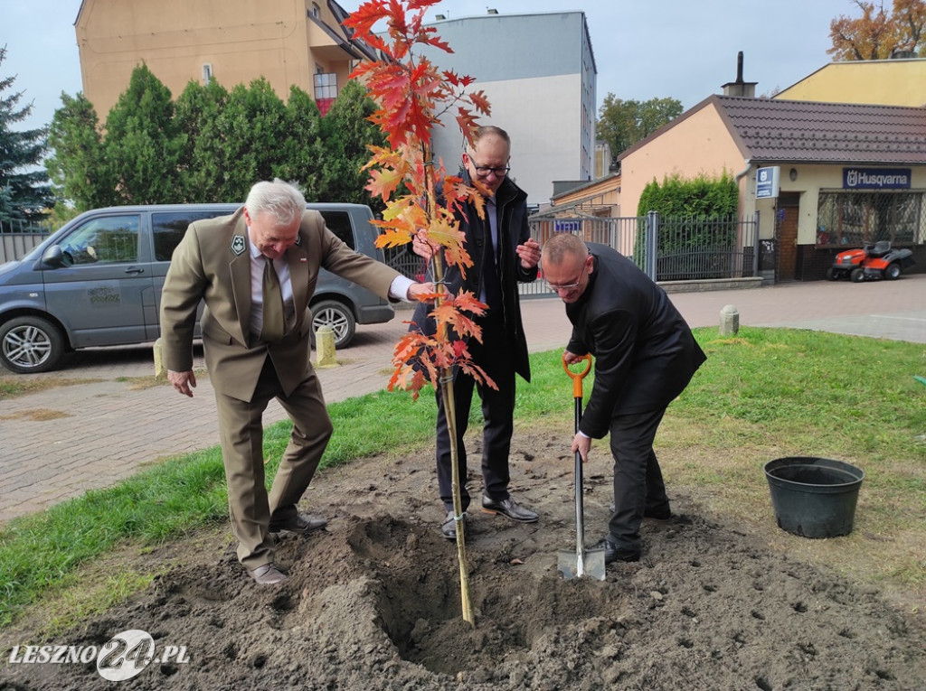 Sadzenie żonkili na Polu Nadziei