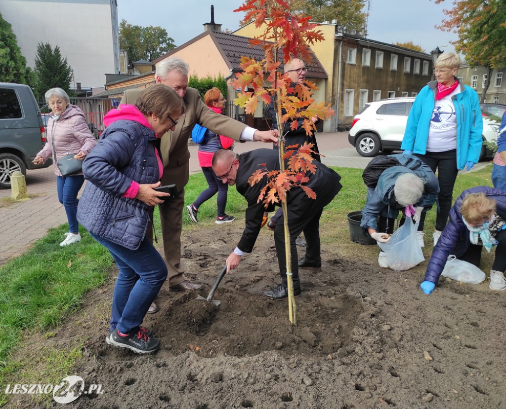 Sadzenie żonkili na Polu Nadziei