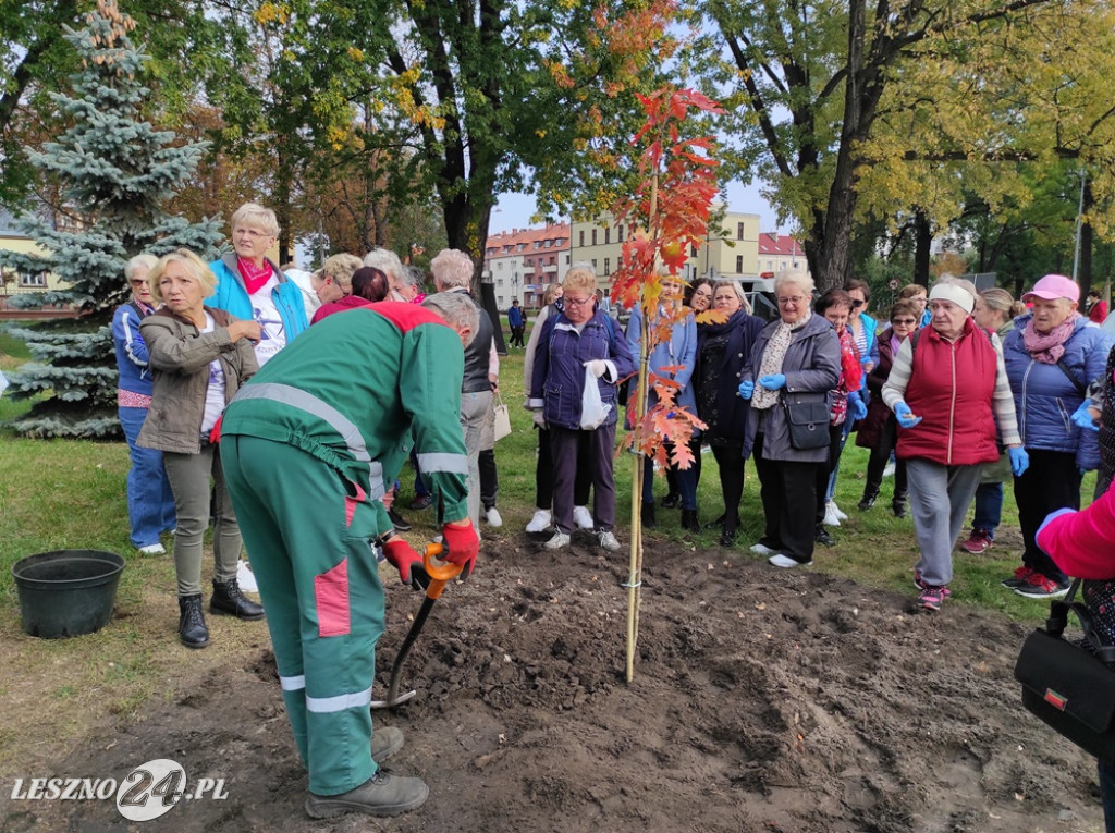 Sadzenie żonkili na Polu Nadziei