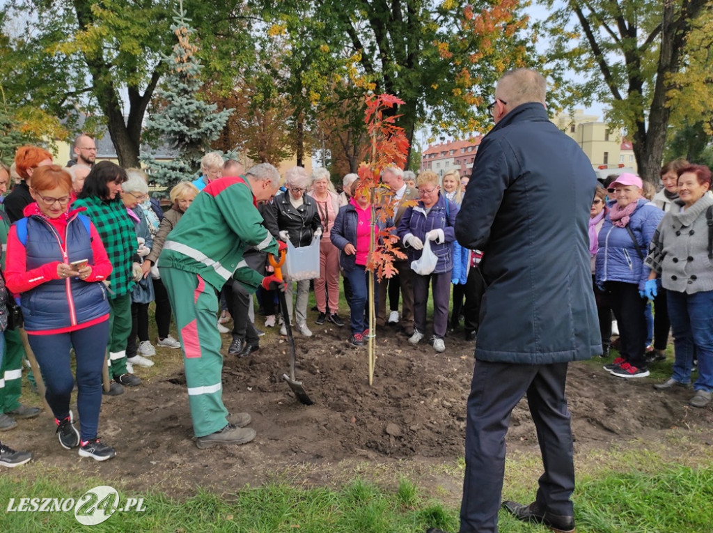 Sadzenie żonkili na Polu Nadziei