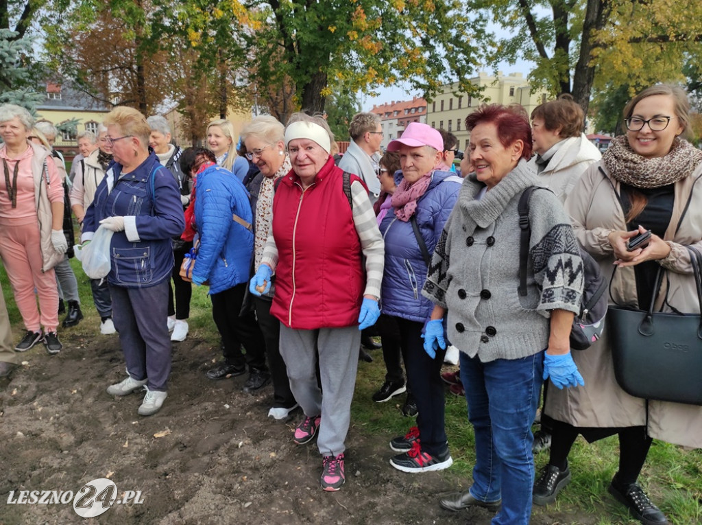 Sadzenie żonkili na Polu Nadziei