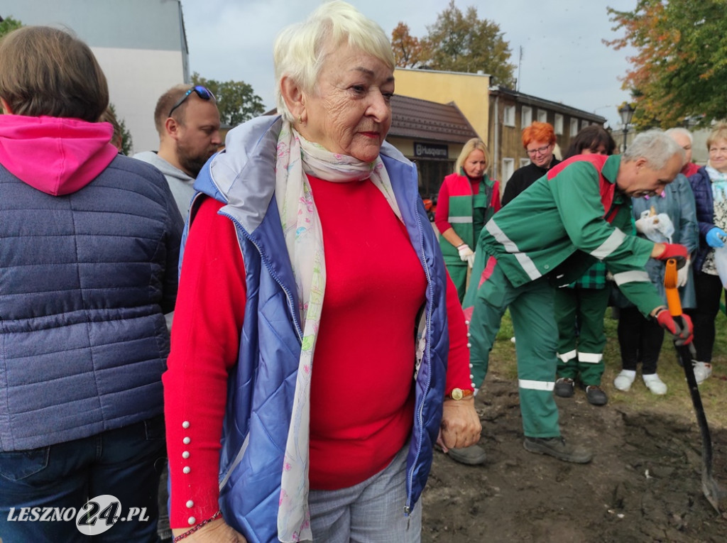Sadzenie żonkili na Polu Nadziei