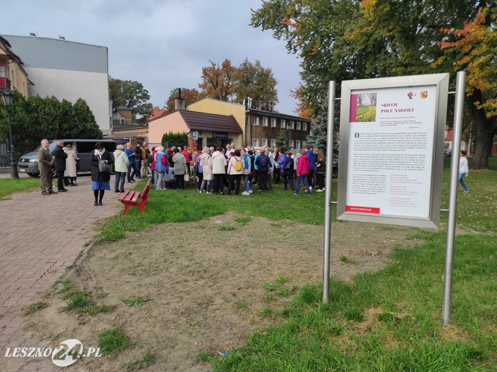 Sadzenie żonkili na Polu Nadziei