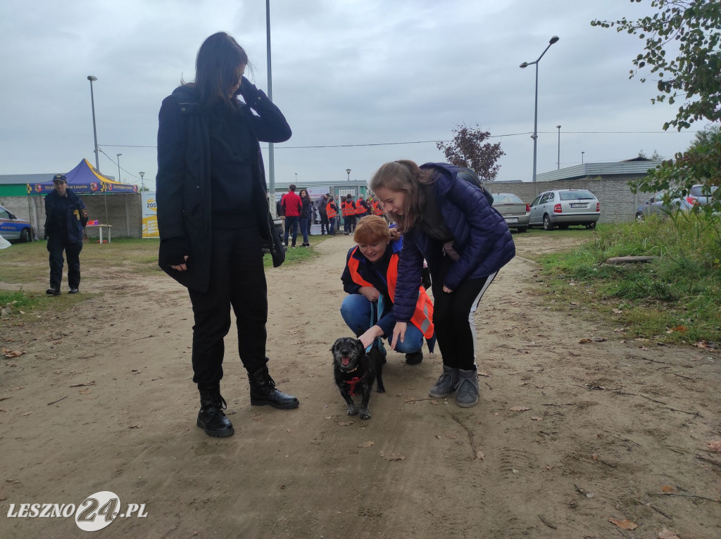 Bieg + 4 łapy