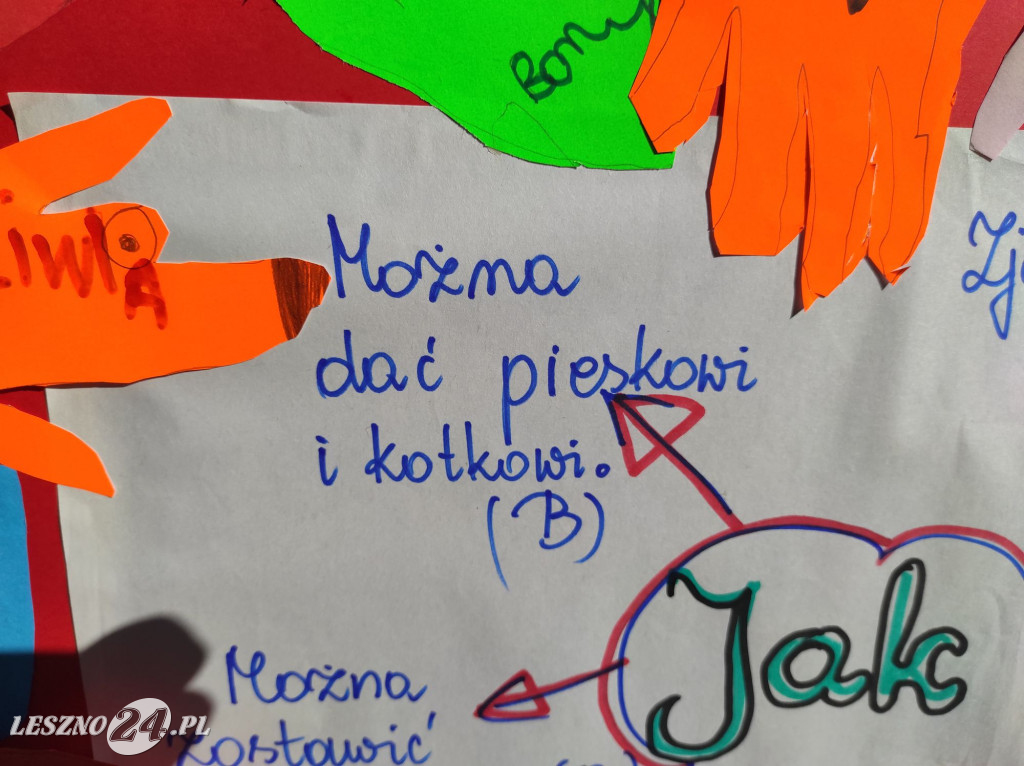 Nie marnują żywności