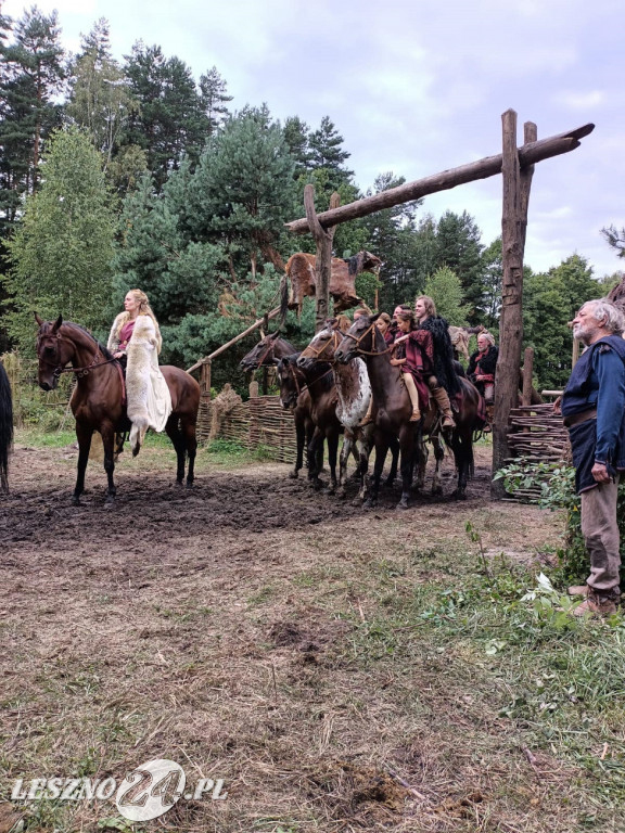 Apolinarski Group na planie 