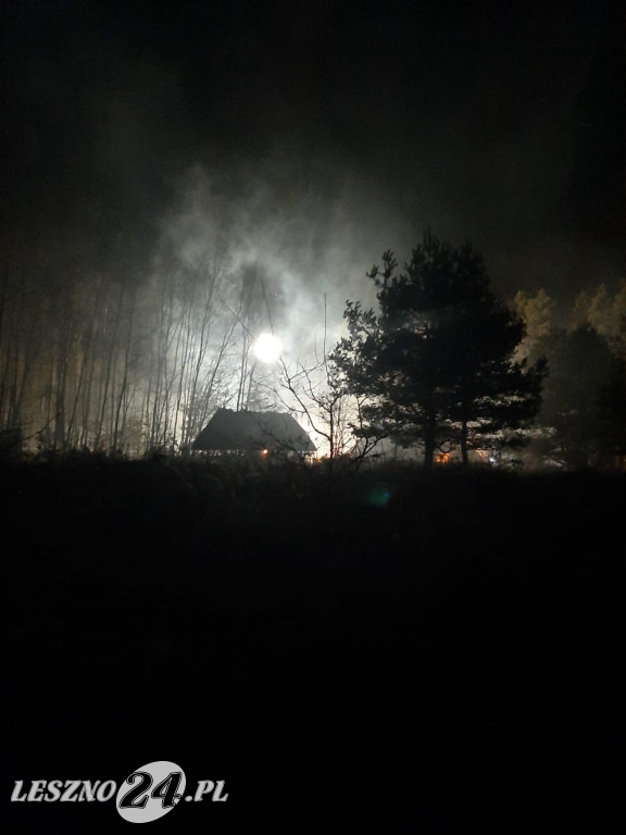 Apolinarski Group na planie 