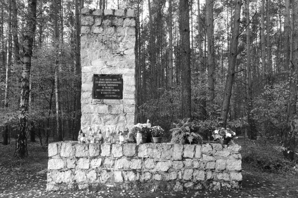 Strażacy uporządkowali pomnik