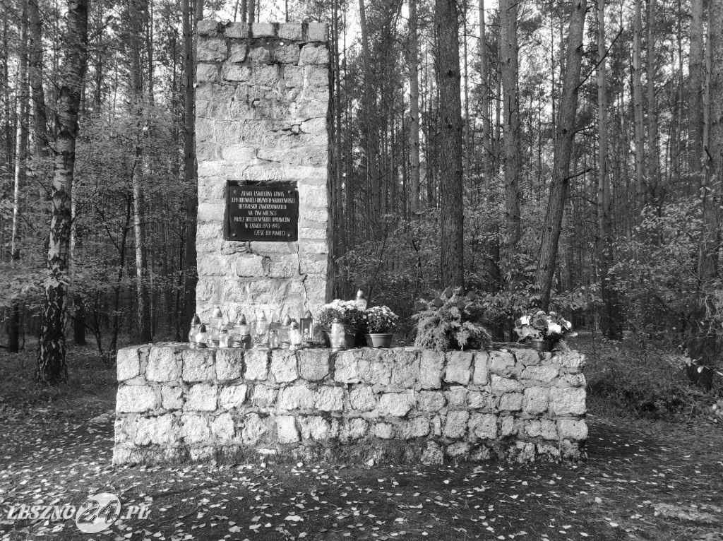 Strażacy uporządkowali pomnik