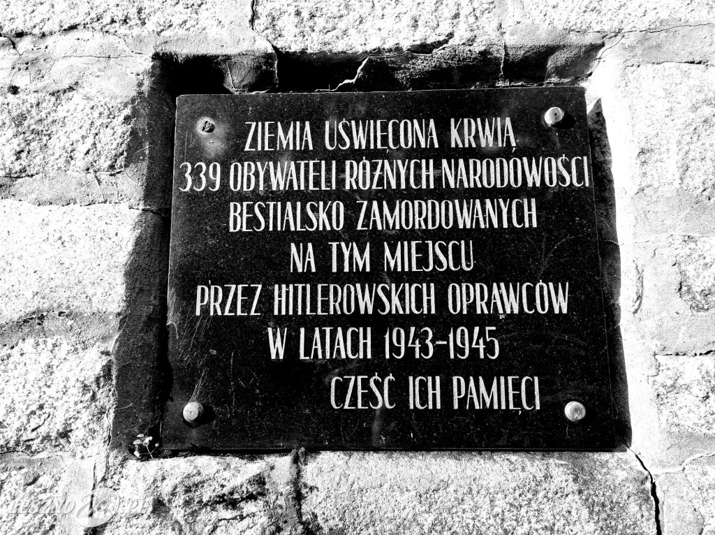Strażacy uporządkowali pomnik