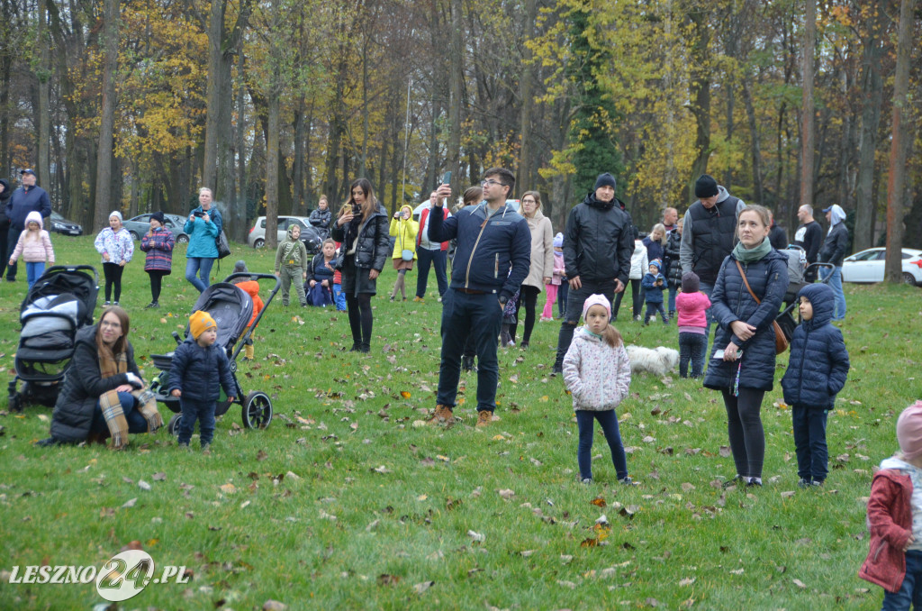 Start Balonów w Wilkowicach 12. 11. 22.