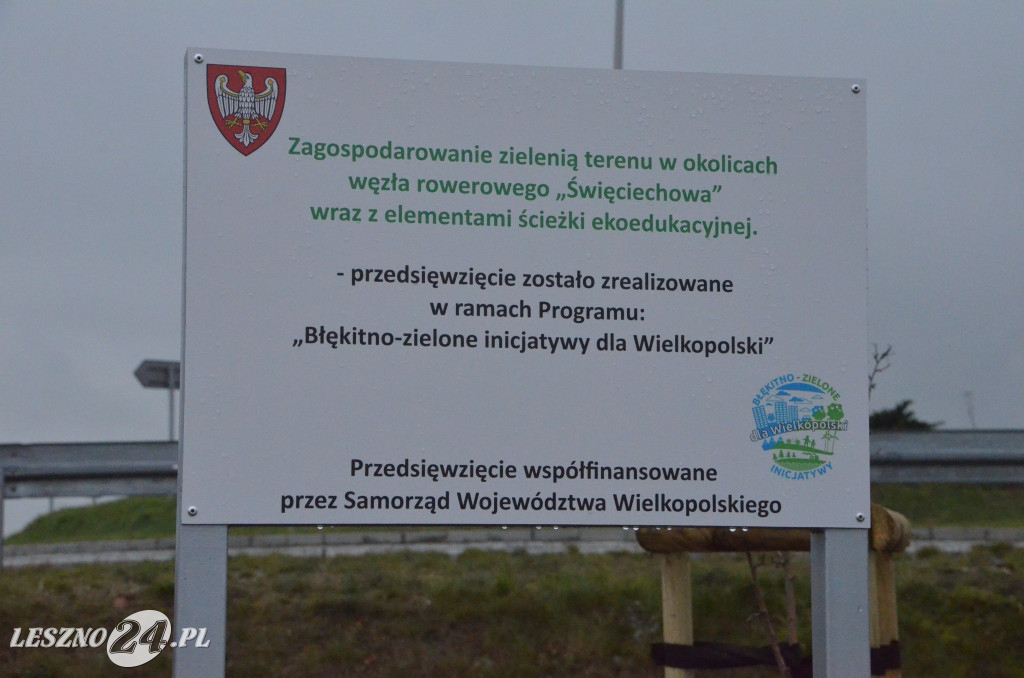 Więcej drzew na węźle rowerowym