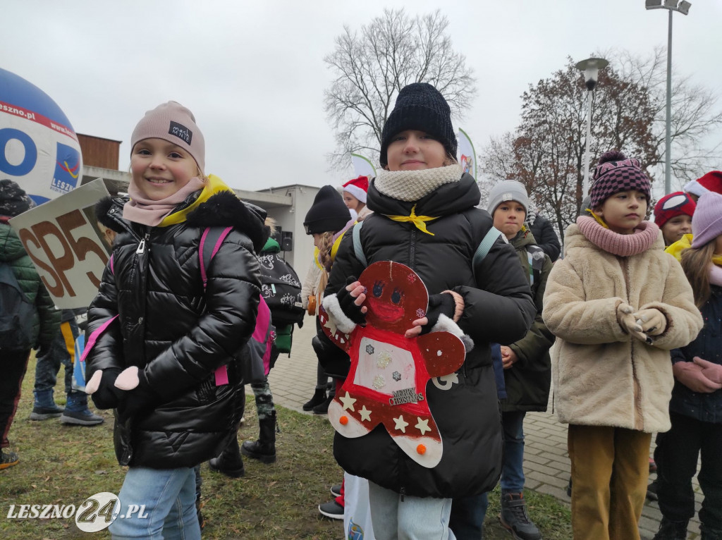 Strojenie choinki w Lesznie