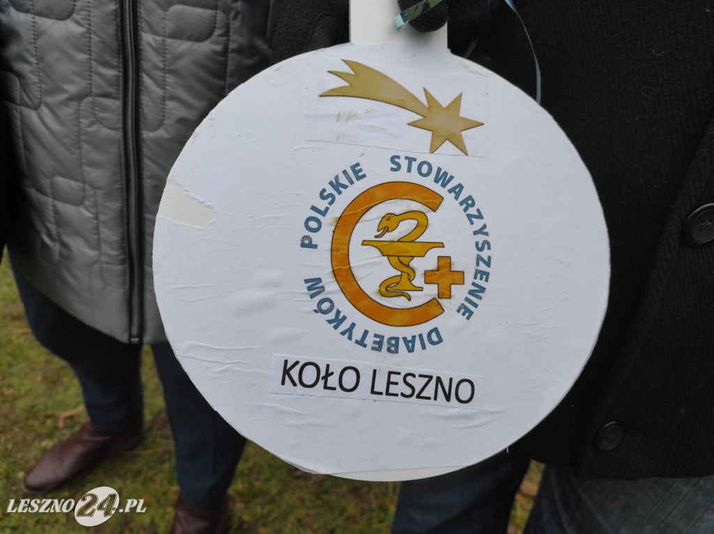 Strojenie choinki w Lesznie