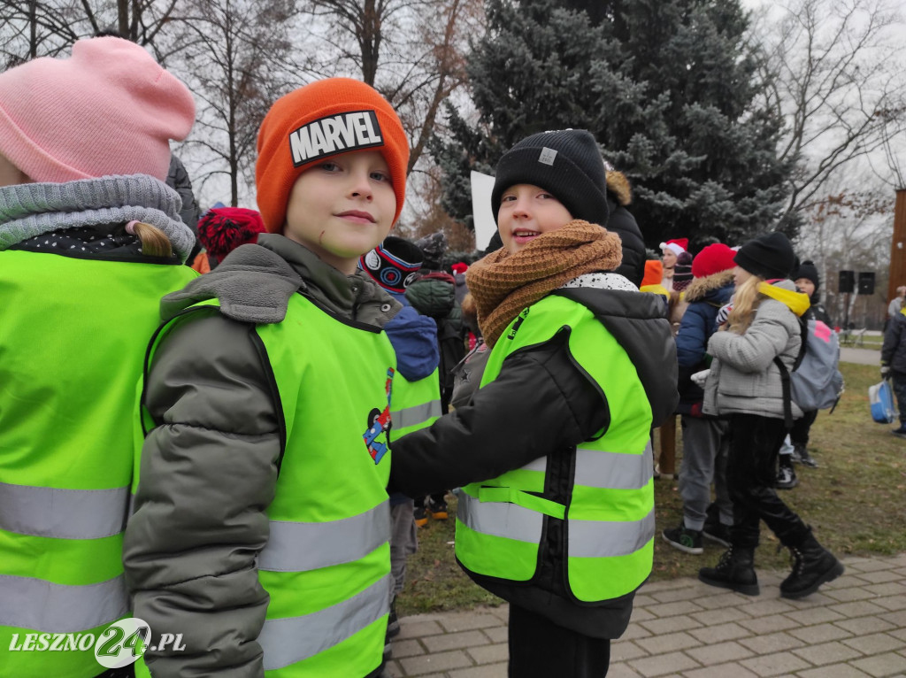 Strojenie choinki w Lesznie