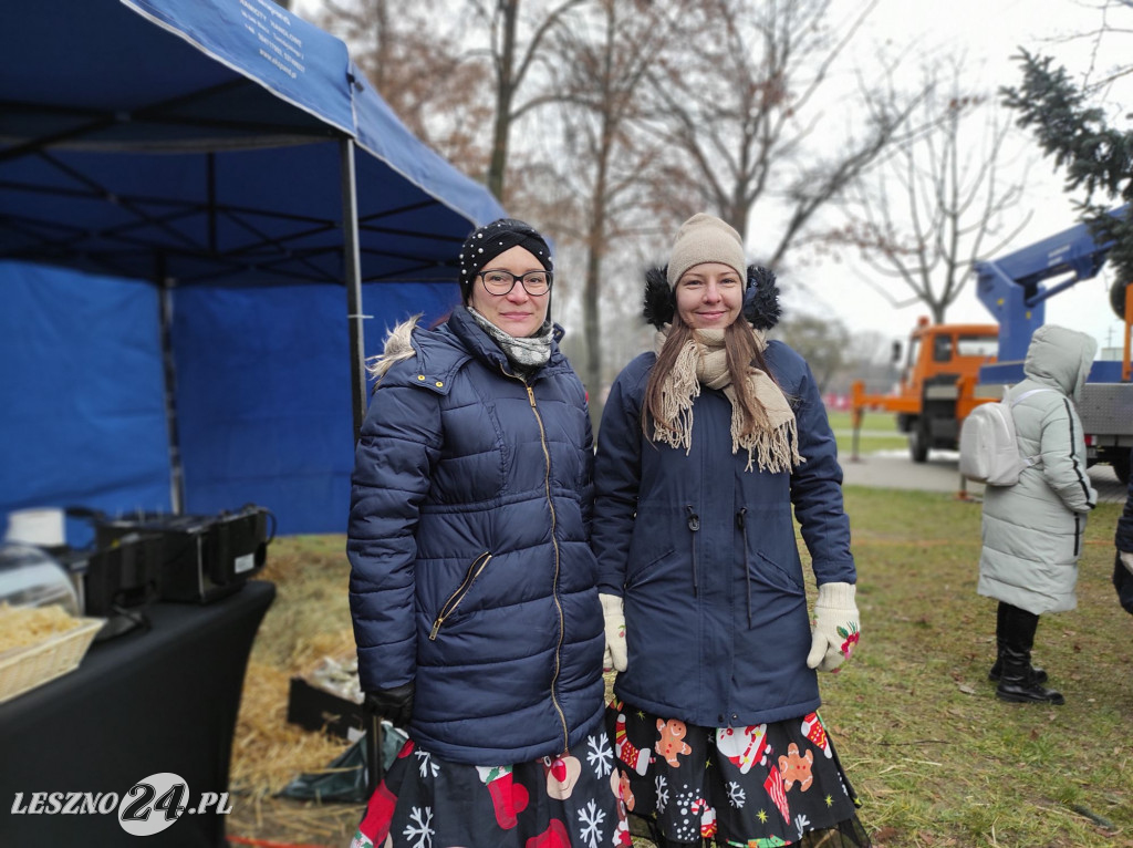 Strojenie choinki w Lesznie