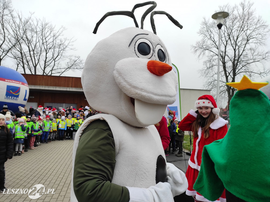 Strojenie choinki w Lesznie