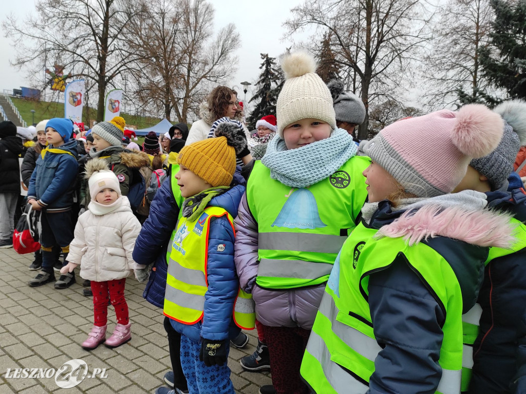 Strojenie choinki w Lesznie