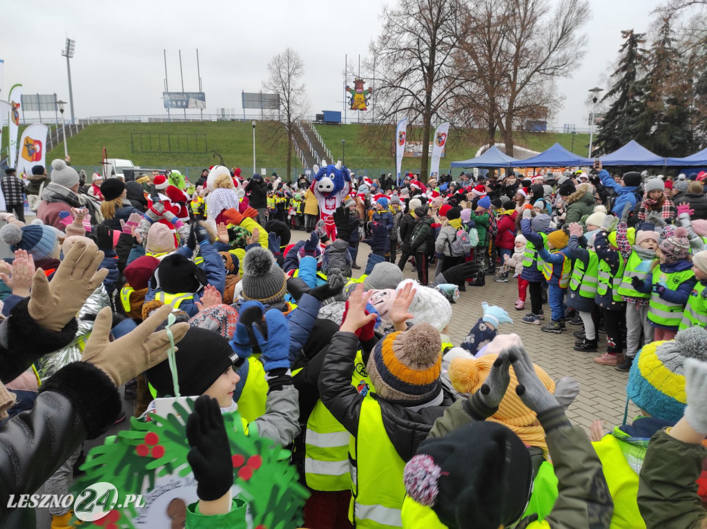 Strojenie choinki w Lesznie