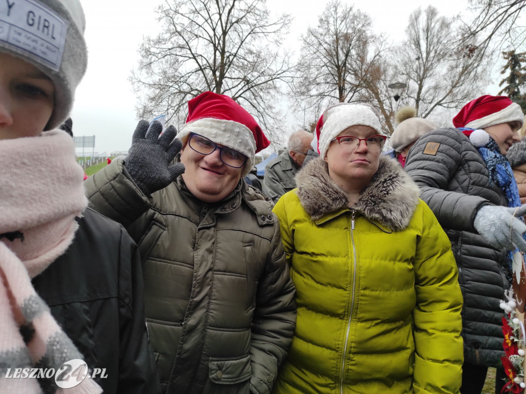 Strojenie choinki w Lesznie