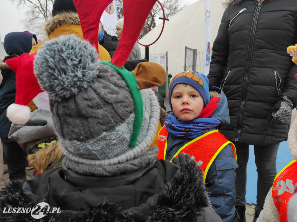 Strojenie choinki w Lesznie
