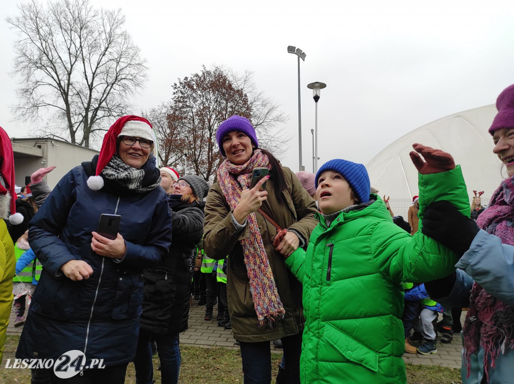 Strojenie choinki w Lesznie