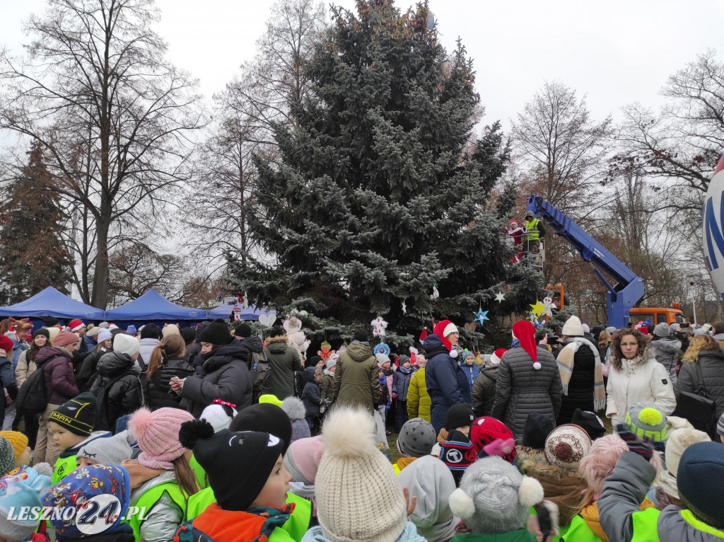 Strojenie choinki w Lesznie