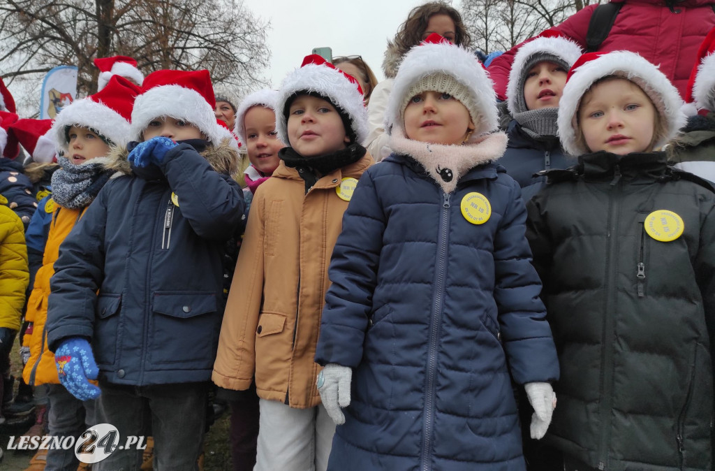 Strojenie choinki w Lesznie