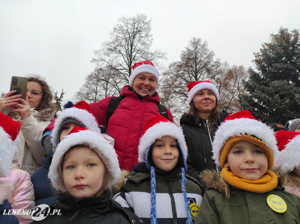 Strojenie choinki w Lesznie
