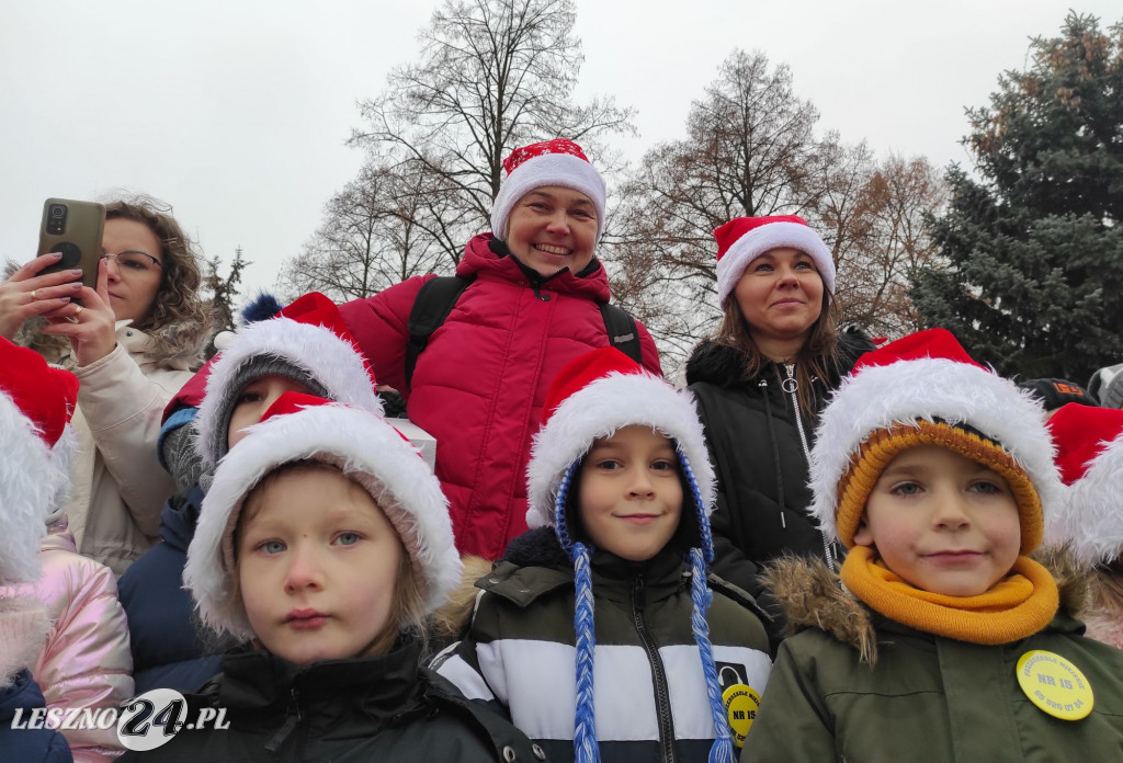 Strojenie choinki w Lesznie