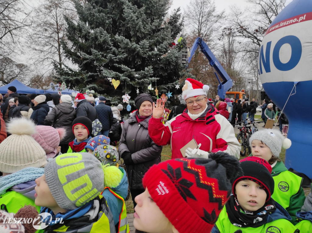 Strojenie choinki w Lesznie