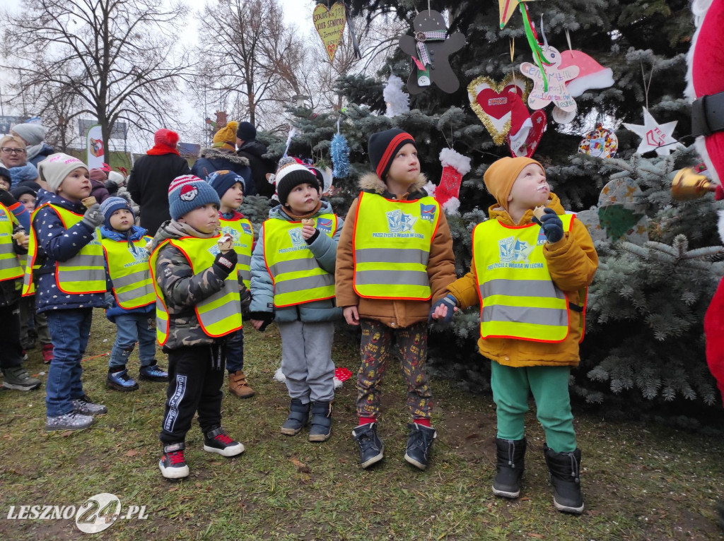 Strojenie choinki w Lesznie