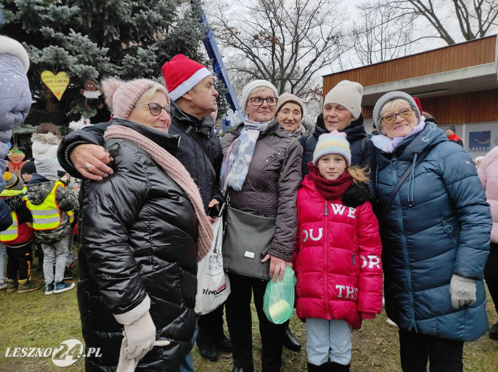 Strojenie choinki w Lesznie