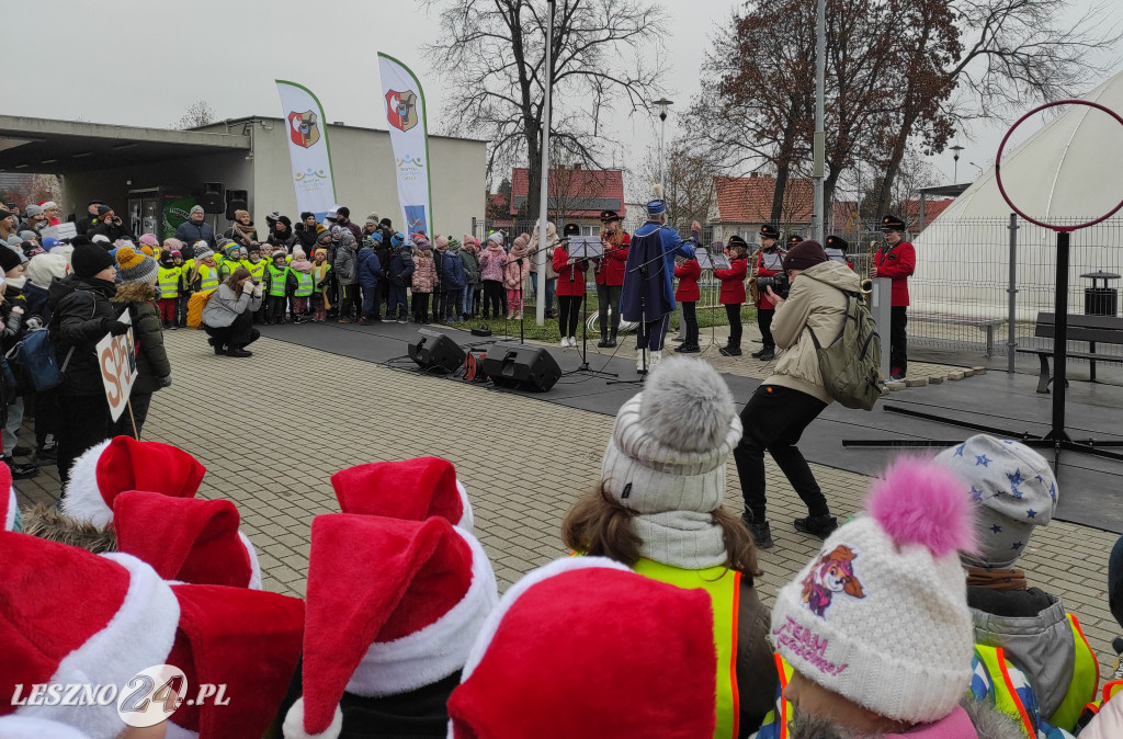 Strojenie choinki w Lesznie