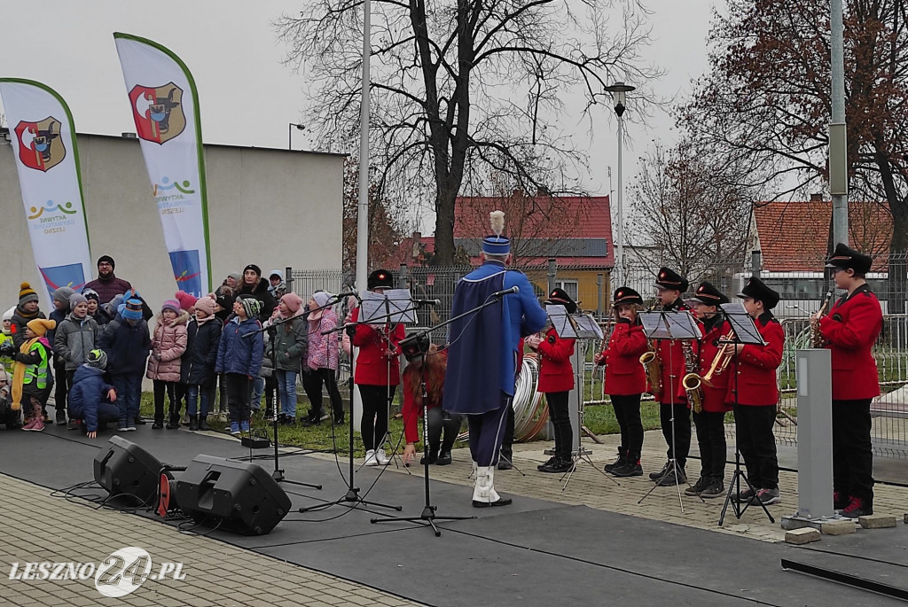 Strojenie choinki w Lesznie