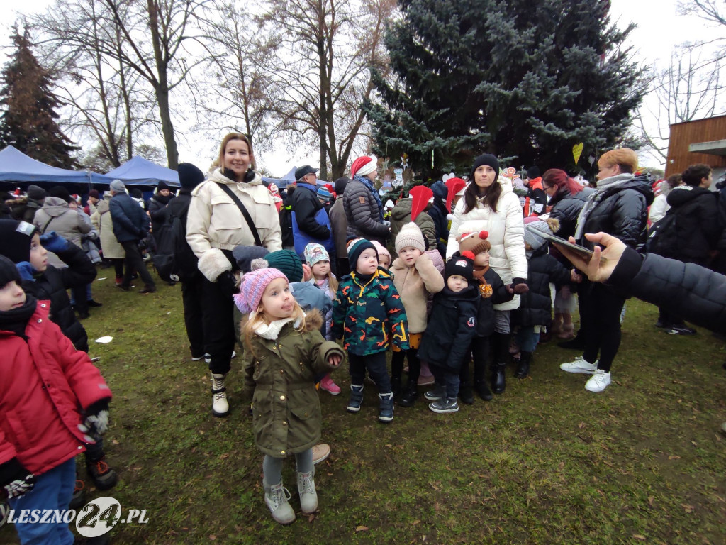 Strojenie choinki w Lesznie