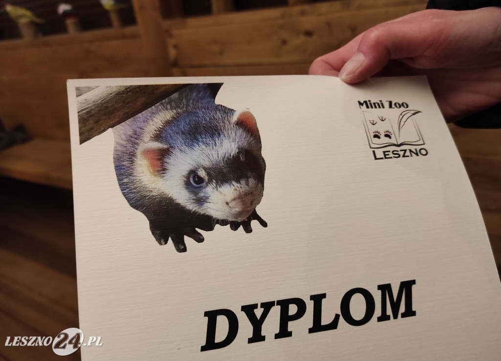 Imiona nadane, tabliczki odsłonięte